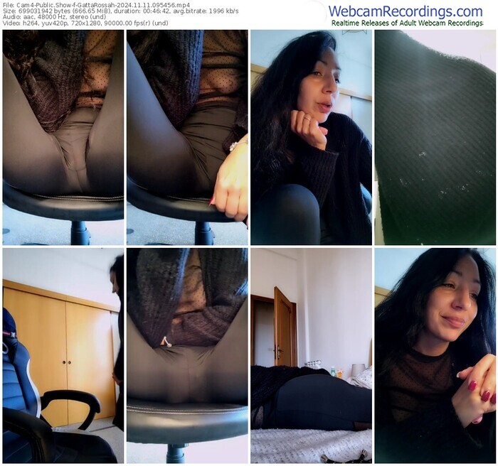 cam4-gattarossah-11-11-2024-09-54-56