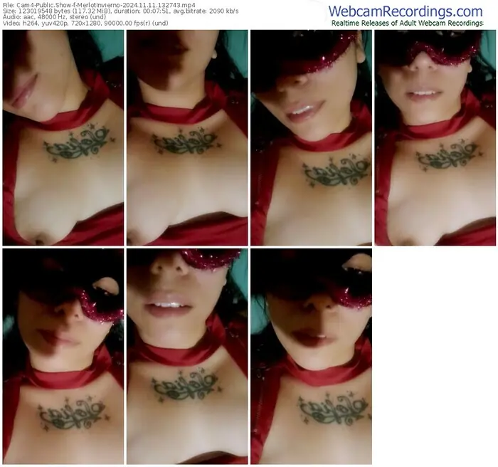 cam4-merlotinvierno-11-11-2024-13-27-43