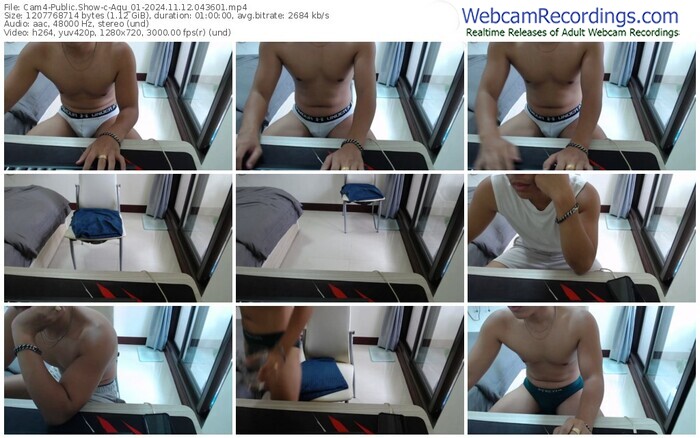 cam4-aqu_01-11-12-2024-04-36-01