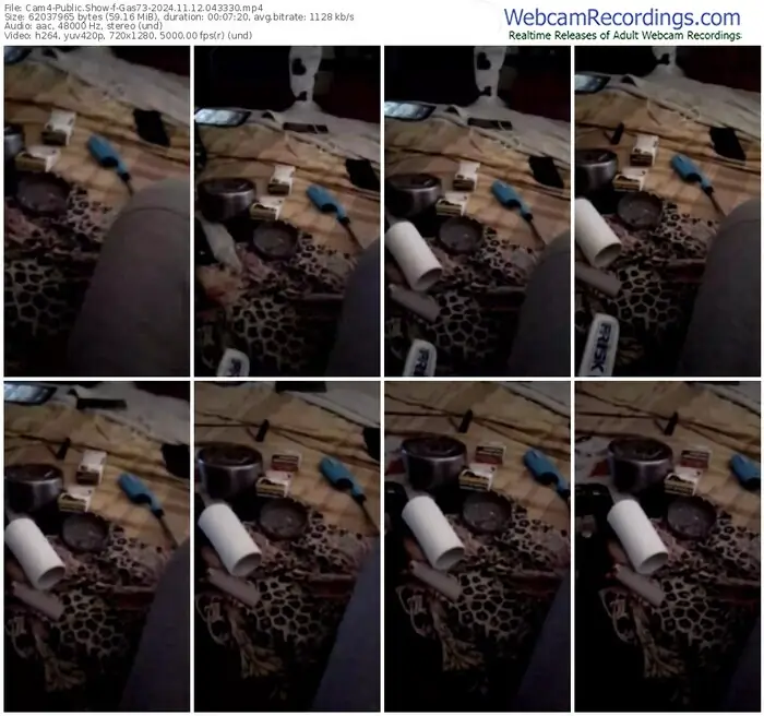 cam4-gas73-11-12-2024-04-33-30