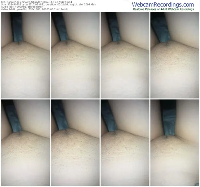 cam4-tatuada7-11-12-2024-07-34-42