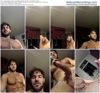 cam4-alpha_hunk-11-12-2024-20-03-32