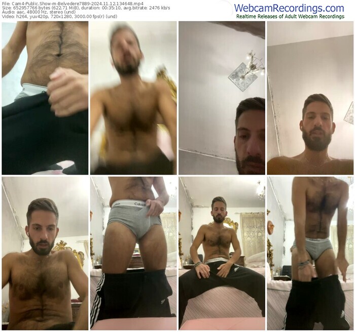 cam4-belvedere7889-11-12-2024-13-46-48