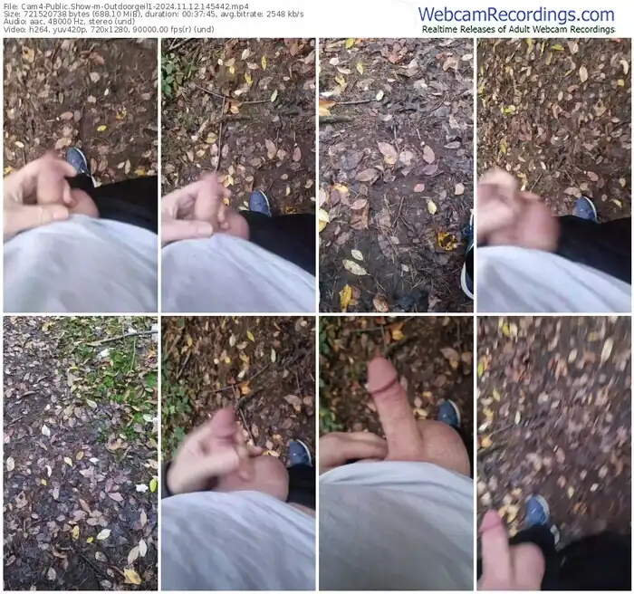 cam4-outdoorgeil1-11-12-2024-14-54-42