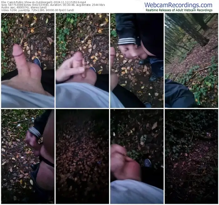 cam4-outdoorgeil1-11-12-2024-15-35-19