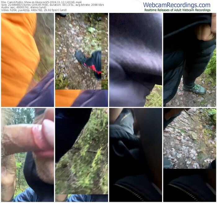 cam4-likescock5-11-12-2024-14-22-41