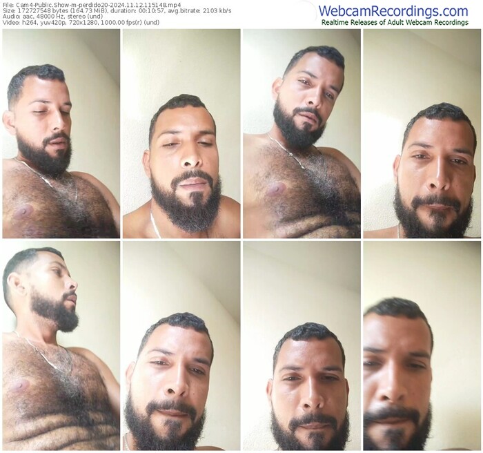 cam4-perdido20-11-12-2024-11-51-48