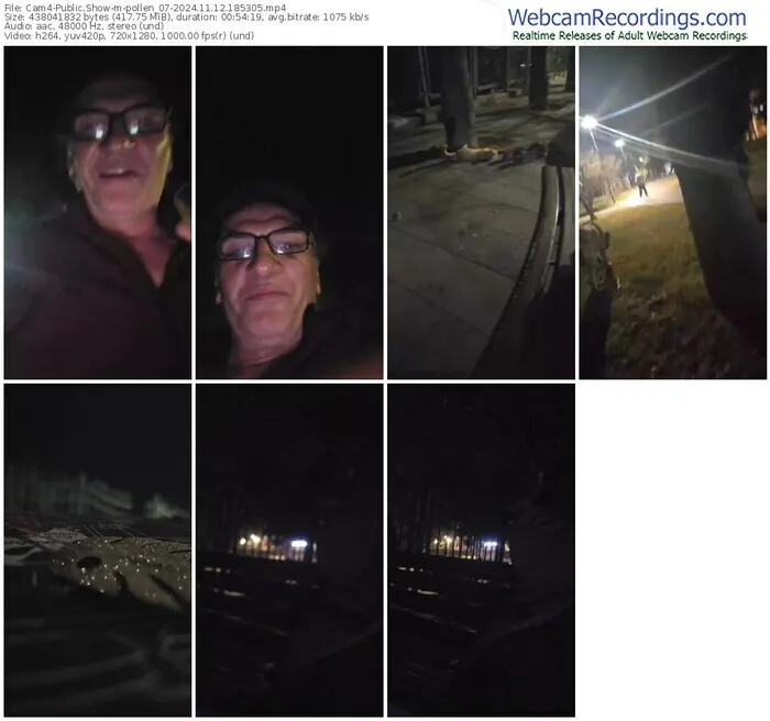 cam4-pollen_07-11-12-2024-18-53-05