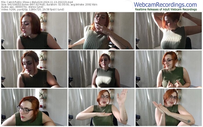 cam4-belug24-11-13-2024-20-22-23