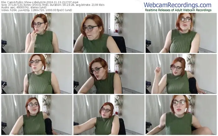 cam4-belug24-11-13-2024-21-27-07