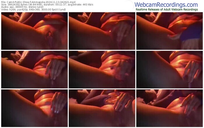 cam4-ammapola-11-13-2024-04-26-21