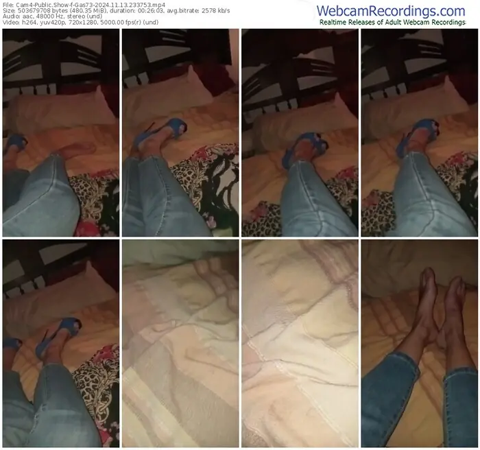 cam4-gas73-11-13-2024-23-37-53