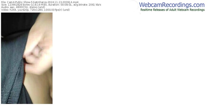 cam4-gatinhazss-11-13-2024-03-39-14
