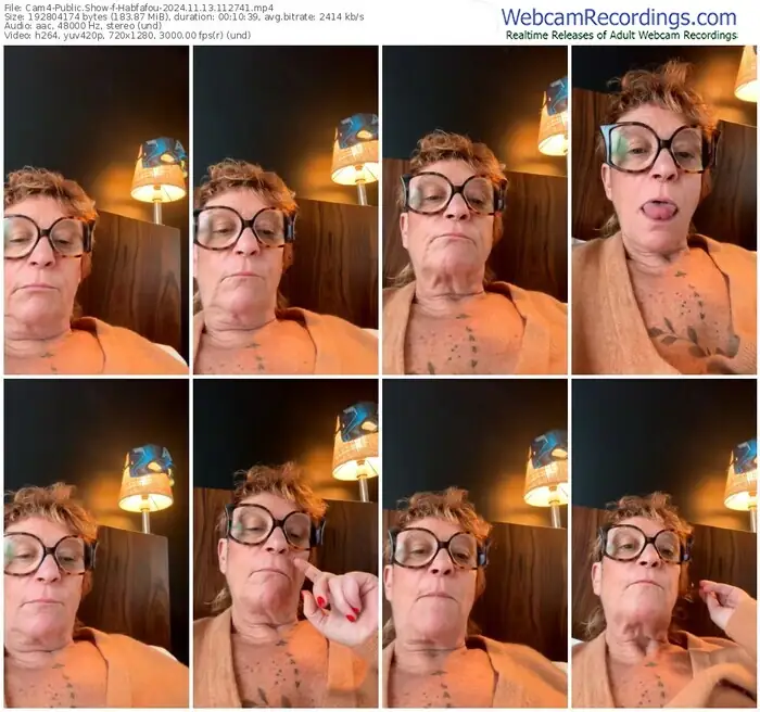 cam4-habfafou-11-13-2024-11-27-41