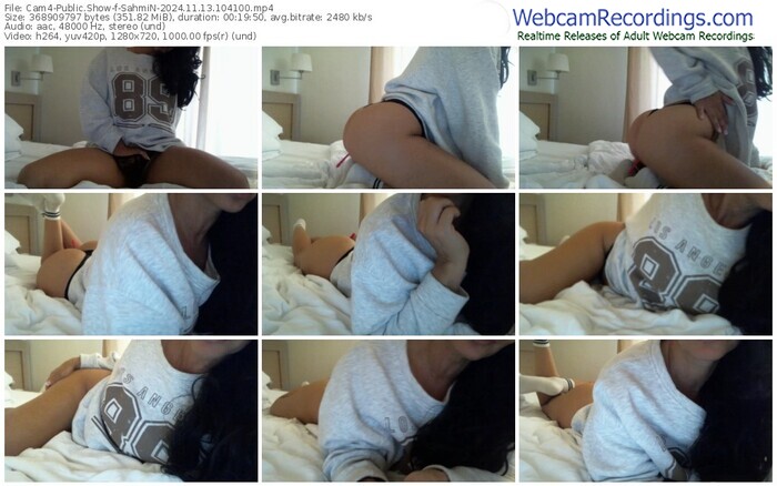 cam4-sahmin-11-13-2024-10-41-00