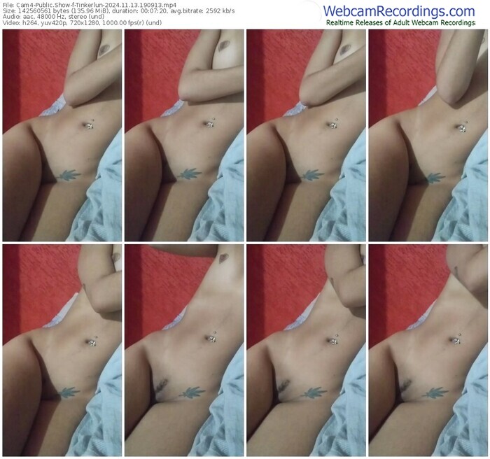 cam4-tinkerlun-11-13-2024-19-09-13