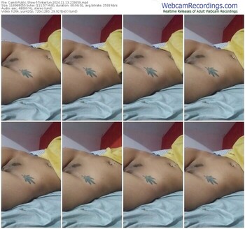 cam4-tinkerlun-11-13-2024-23-36-59