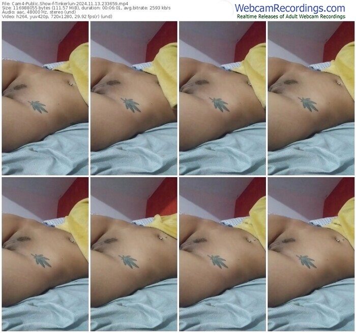 cam4-tinkerlun-11-13-2024-23-36-59