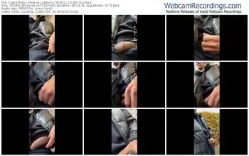 cam4-lufenicci-11-13-2024-08-17-19