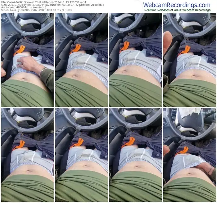 cam4-thelastbebos-11-13-2024-12-30-38