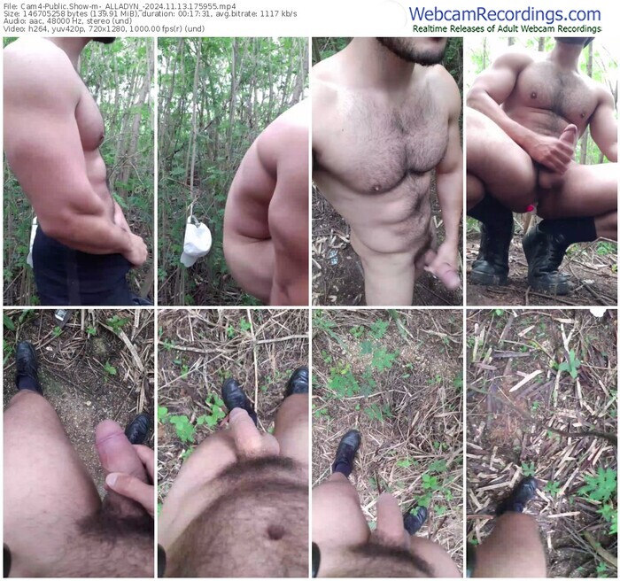 cam4-_alladyn_-11-13-2024-17-59-55