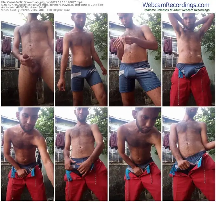 cam4-aly_pig_hot-11-13-2024-12-08-27