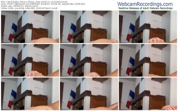 cam4-thony_grey-11-14-2024-03-24-32