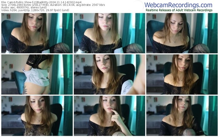 cam4-22badkitty-11-14-2024-14-23-02