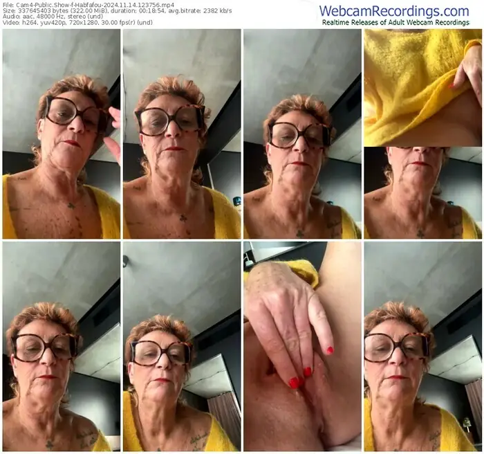 cam4-habfafou-11-14-2024-12-37-56