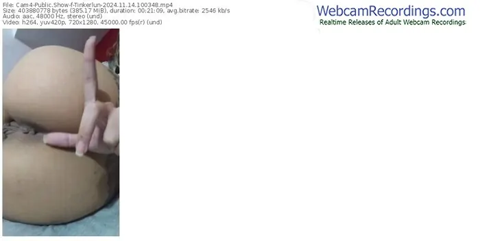 cam4-tinkerlun-11-14-2024-10-03-48