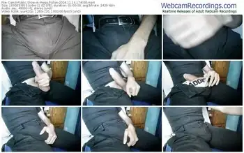 cam4-mega_pollon-11-14-2024-17-40-35