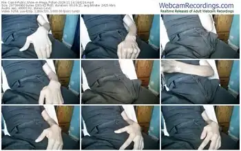 cam4-mega_pollon-11-14-2024-18-42-24