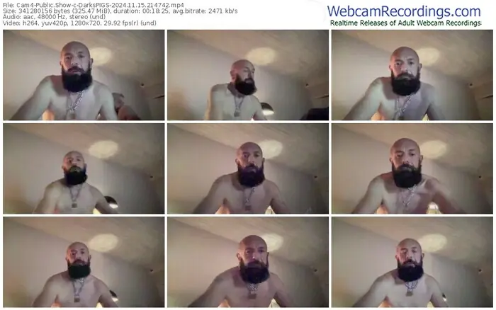 cam4-darkspigs-11-15-2024-21-47-42