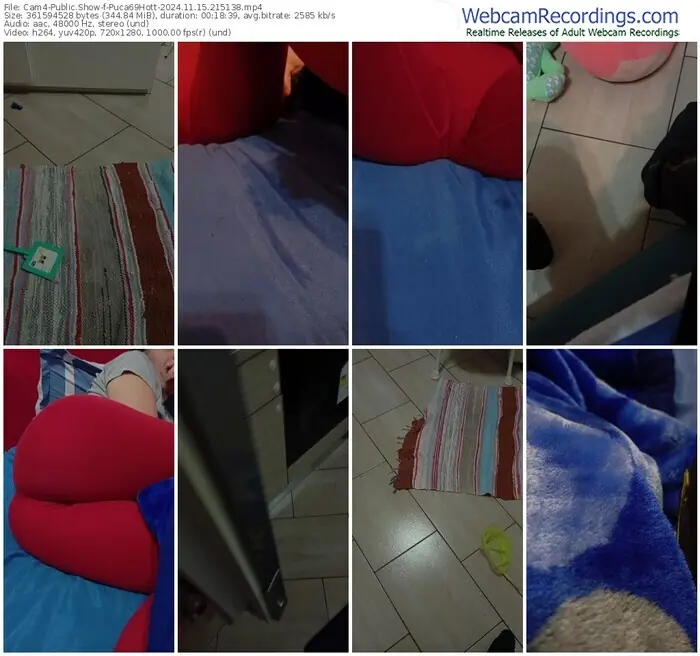 cam4-puca69hott-11-15-2024-21-51-38