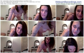 cam4-survygreen-11-15-2024-16-52-17