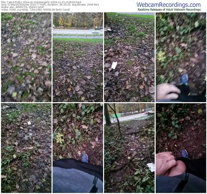 cam4-outdoorgeil1-11-15-2024-15-26-20