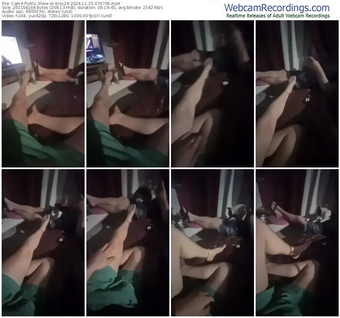 cam4-bisx24-11-15-2024-07-07-06