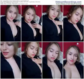 cam4-agat4-11-16-2024-02-29-30