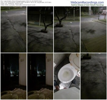cam4-diegomasajes-11-16-2024-03-24-53