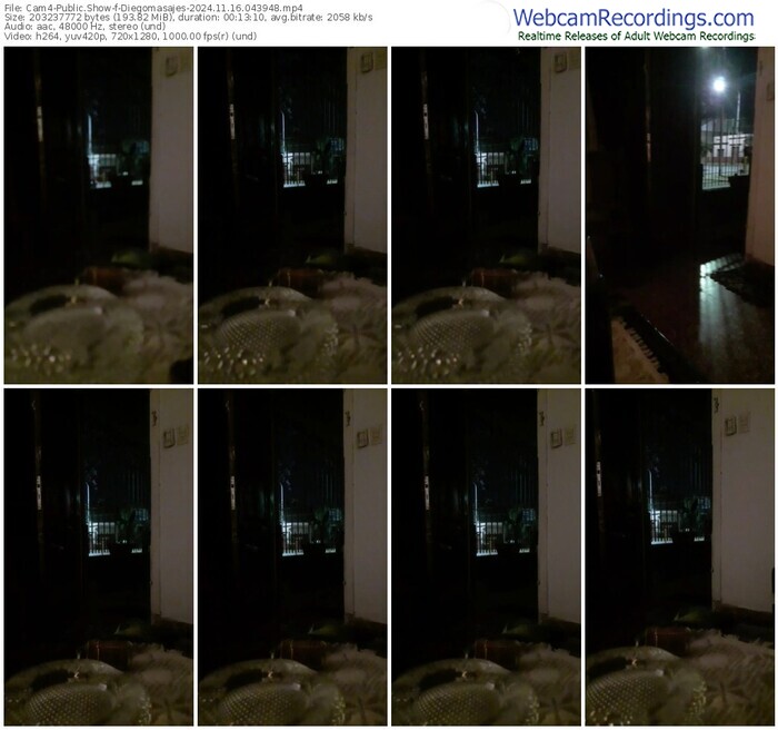 cam4-diegomasajes-11-16-2024-04-39-48