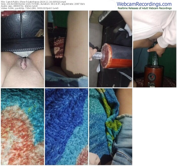 cam4-gatinhazss-11-16-2024-03-55-23