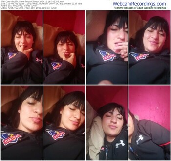 cam4-nooocllama-11-16-2024-18-53-53