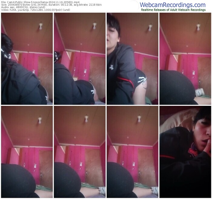 cam4-nooocllama-11-16-2024-20-58-31