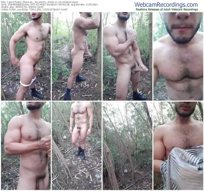 cam4-_alladyn_-11-16-2024-20-54-20