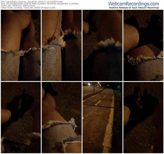 cam4-_alladyn_-11-16-2024-23-26-53