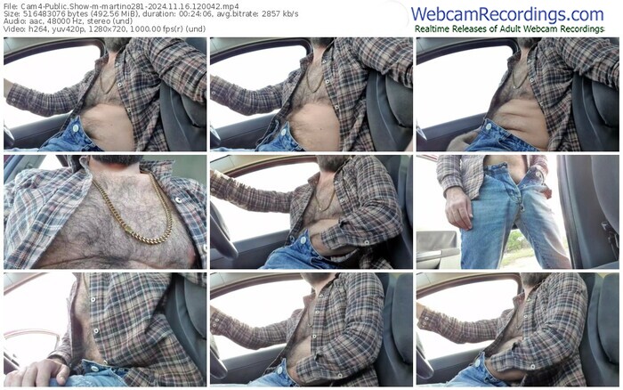 cam4-martino281-11-16-2024-12-00-42