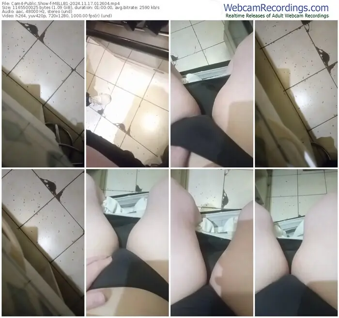 cam4-mellb1-11-17-2024-01-26-04