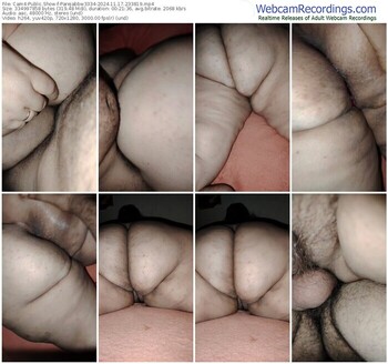 cam4-parejabbw3334-11-17-2024-23-38-19