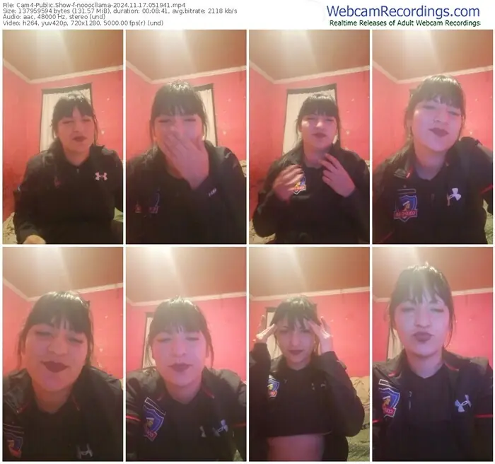 cam4-nooocllama-11-17-2024-05-19-41