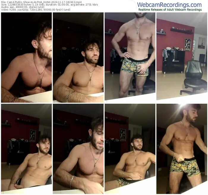 cam4-alpha_hunk-11-17-2024-18-24-13